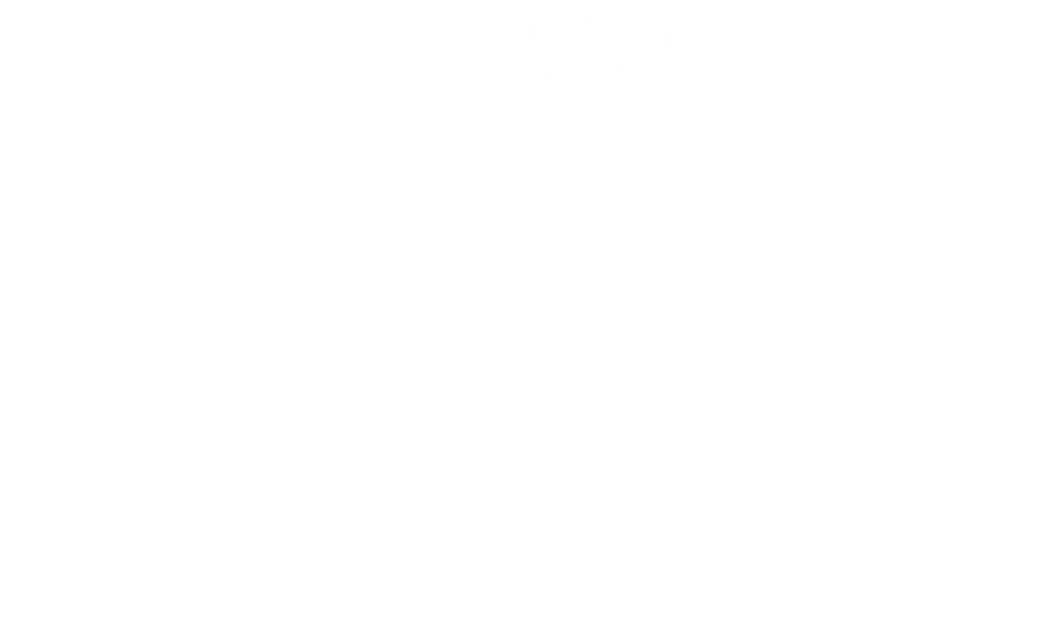 Ramya Vastram
