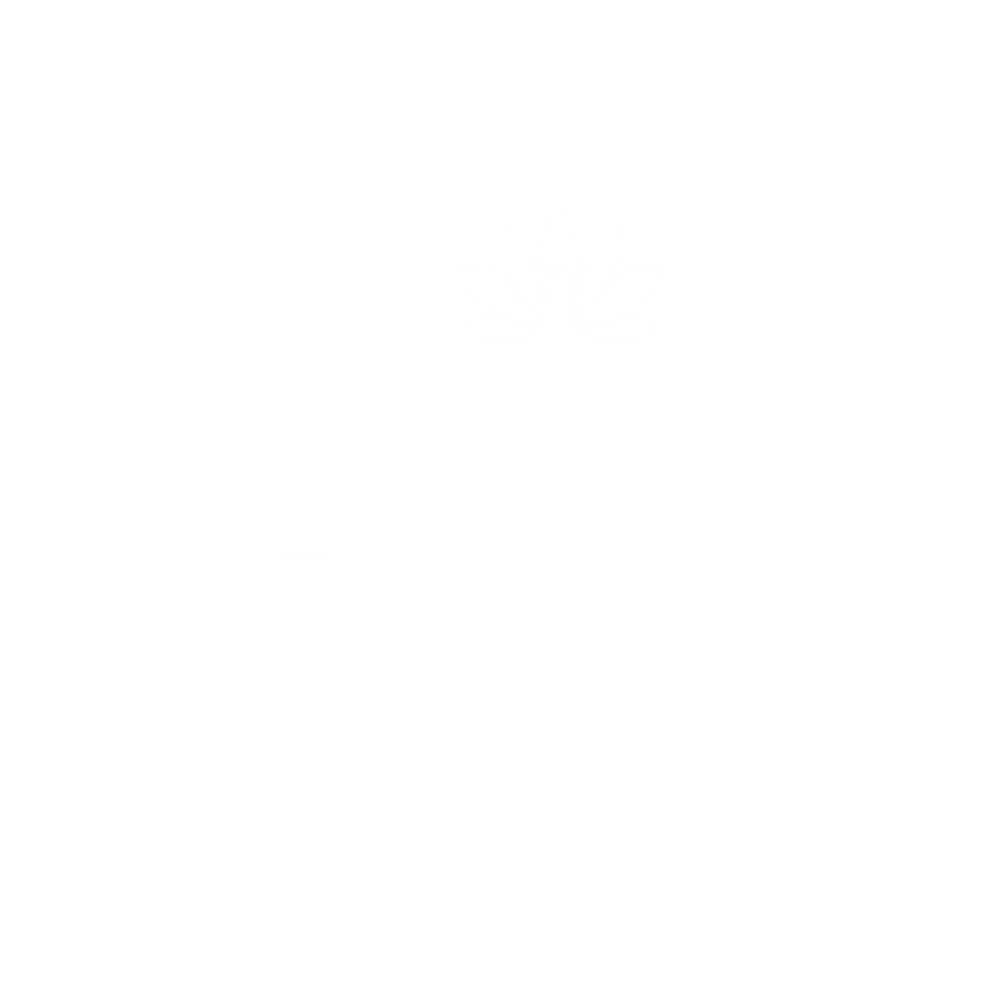 Ramya Vastram